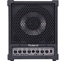 Roland CM-30 Cube Monitor PA System
